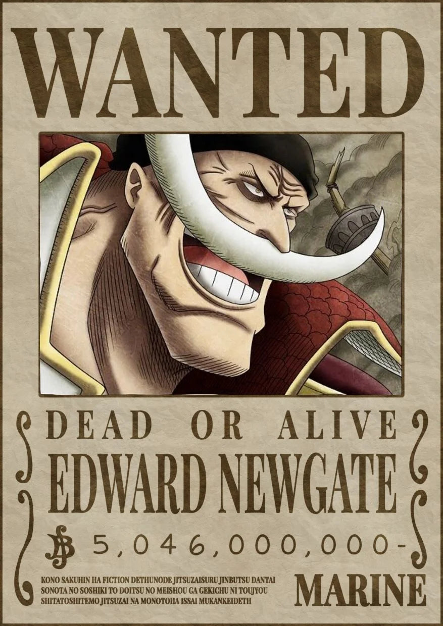 One Piece Wanted Poster Set of 12 posters