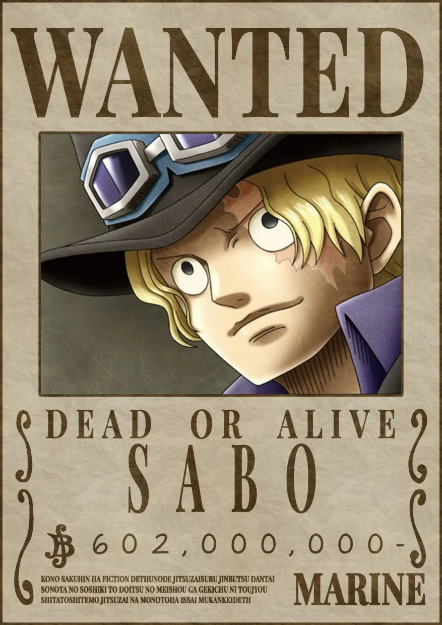 One Piece Wanted Poster Set of 12 posters